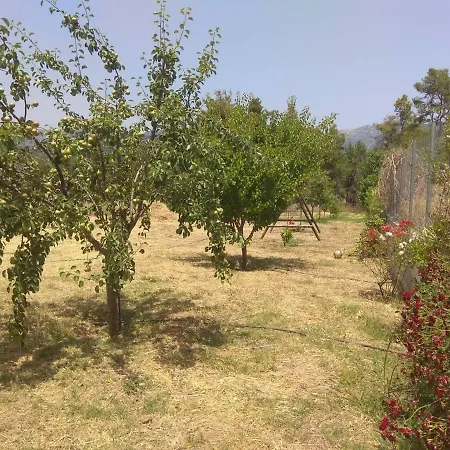 Antonia's New House Amazing Garden Near Sea 10ppl * Paliouras