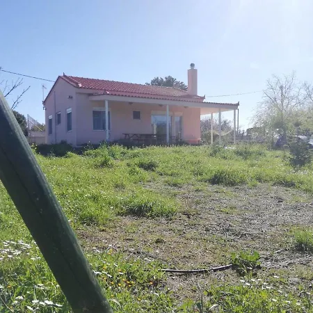 Antonia's New House Amazing Garden Near Sea 10ppl